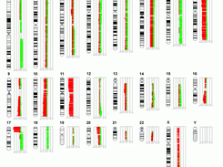 arrayCGH chromosome profile result