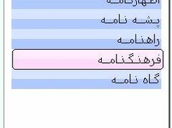 wildcard Search__Farhang2.0