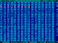 Hex editor