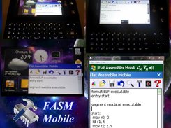 fasmwm Screenshot 3