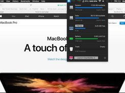Safari