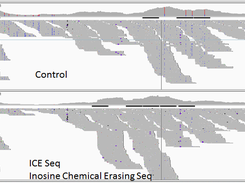 fastpassNGS Screenshot 1