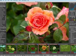 FastRawViewer Screenshot 1