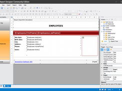FastReport Open Source Monitor Shots 3