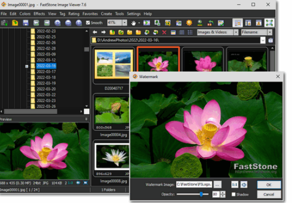 FastStone Image Viewer Screenshot 1