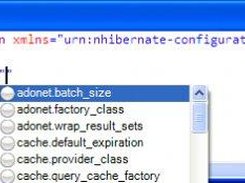 Attribute value completion  ( using NHibernate schema )