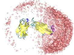 Lysozyme mass center distribution outside a fab fragment