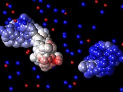 Free energy of interaction between macro-molecules