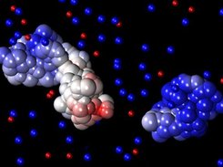 Free energy of interaction between macro-molecules