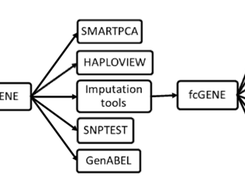 functional overview of foramt transformation of genotype data