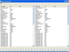 The main screen (Windows XP)