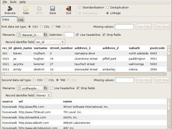 Febrl GUI data page for a linkage of two data sets.