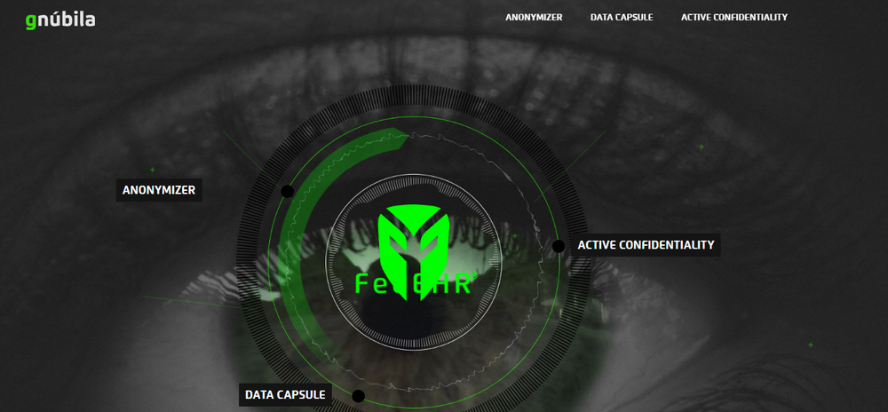 FedEHR Screenshot 1