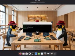 The Desktop for user pi