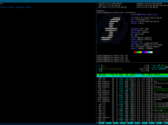 fedora-dwm-custom Screenshot 2