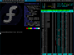 fedora-dwm-custom Screenshot 1