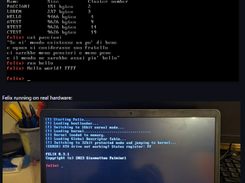 Felix OS Screenshot 1