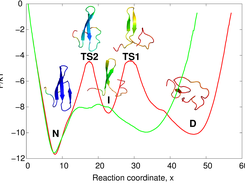 The free energy profile for FIP35 protein.
