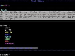 festival Screenshot 5