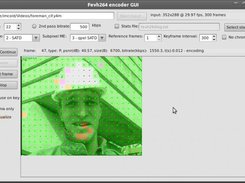 Fevh264 GUI, GTK2 (Ubuntu 10.10)