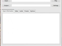 Input Information Tab