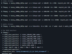 FFmpeg libav tutorial Screenshot 2