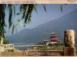 Video Window