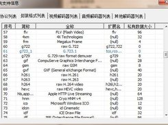 System Information (Chinese)