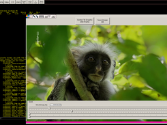 ver. 0.4.7.0 seeking in dynamic settings mode
