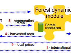 Flowchart