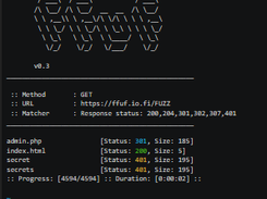Ffuf Screenshot 1