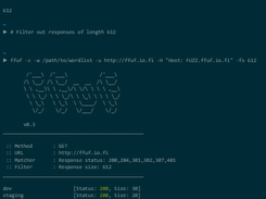 Ffuf Screenshot 1