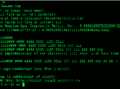 fibtin2-System Screenshot 1