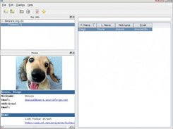 Main Window (linux)
