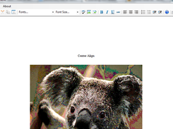 Main Editor