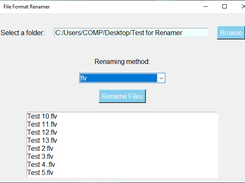 File Format Renamer Screenshot 4