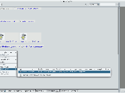 Duplicate files view