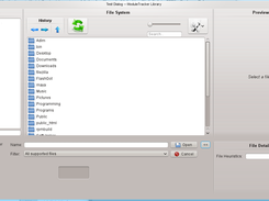 File Dialog with (Ugly) Custom Widget