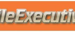 FileExecutive