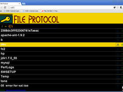 File Explorer