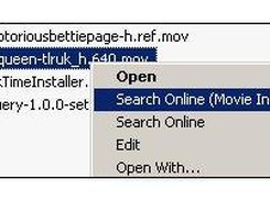 Explorer Integration