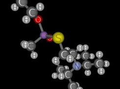 A molecule display application - any PDB file can be viewed