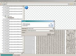 3. Exporting found format structures