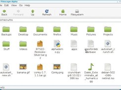 Filescape Alpha showing off some file icons