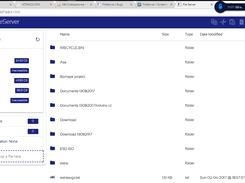 interface for the file management