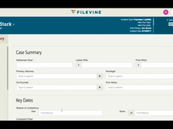 Filevine-CaseSummary