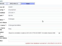 A new identification mapped and ingested into a Specify 6 DB