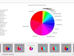 category state pie chart
