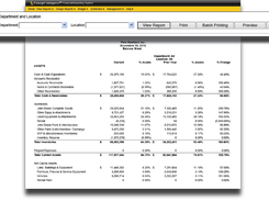 Foresight Intelligence Financial Reporting System Screenshot 1