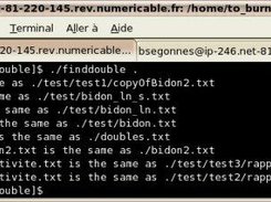 finddouble Screenshot 1